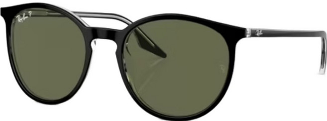 Ray-Ban 雷朋 膠框太陽眼鏡 偏光鏡片 RB2204F-919/58