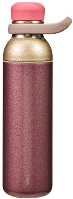 실리만 웰텀블러 에슬레저 스트로우보틀 800ml 애쉬플럼, 1개