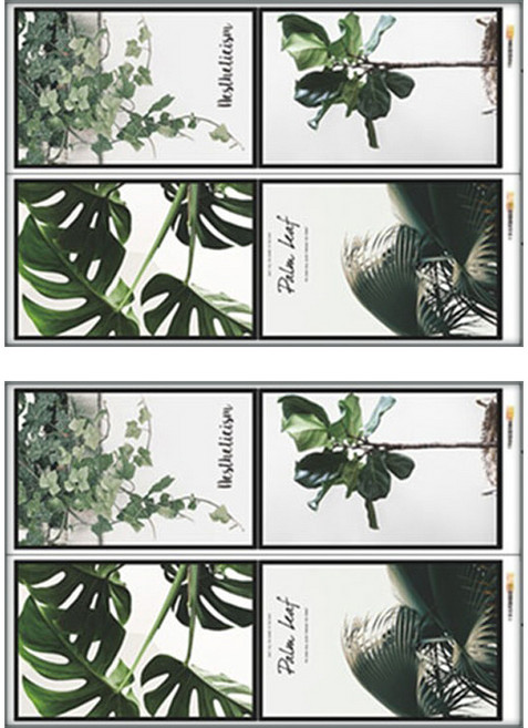 WA. WALL ART 防水PVC 無痕設計壁貼 FX-C201 2張, 植物 + 樹葉 + 相框