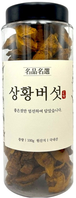온담 국산 상황버섯, 1개, 100g