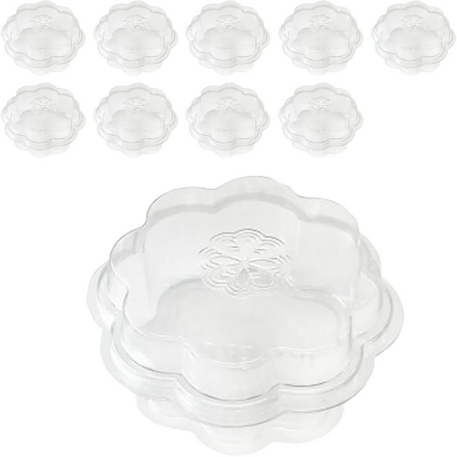 핸즈픽 담꽃 PET 케이스, 투명, 10개