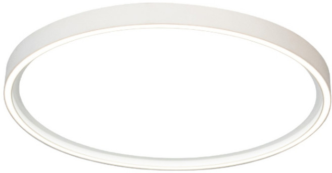 DANCELIGHT 舞光 LED 雪晴吸頂燈 45W, 自然光