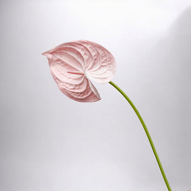 Floral M 黛安娜心型火鶴仿真花花材, 2個, 少女粉