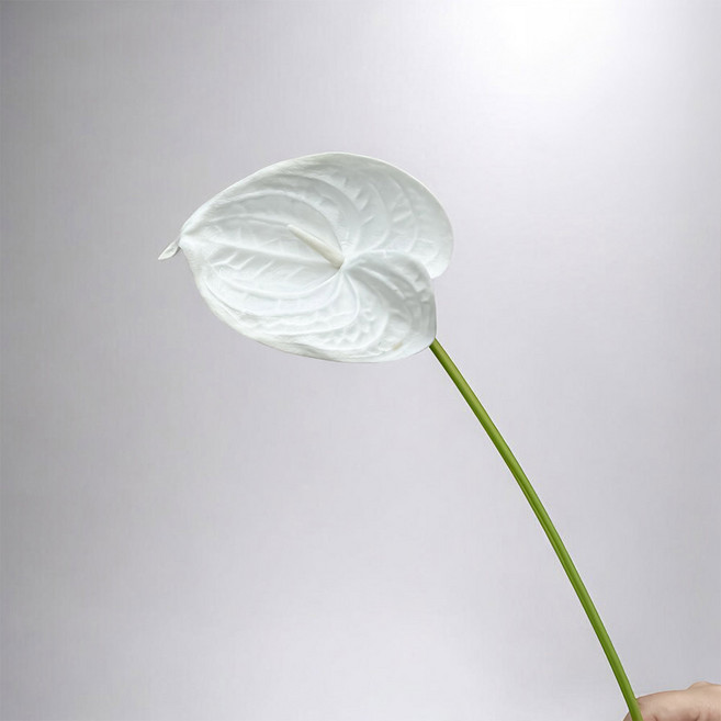 Floral M 黛安娜心型火鶴仿真花花材, 2個, 優雅白