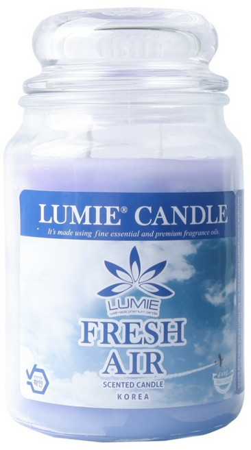 르미에 라지자 캔들, 후레시에어, 570g, 1개