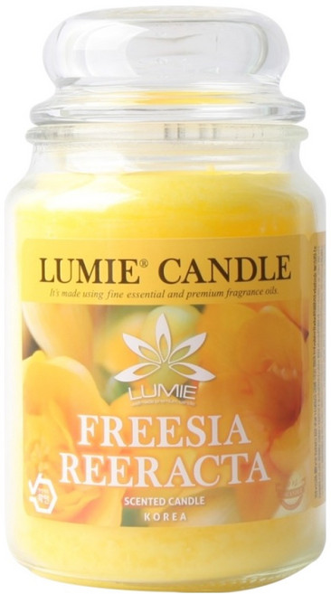 르미에 캔들, 후리지아, 570g, 1개