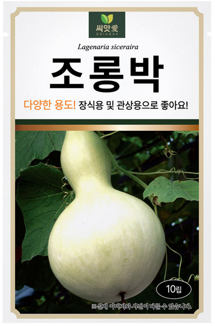 다농 씨앗애 조롱박 씨앗 10립, 1개