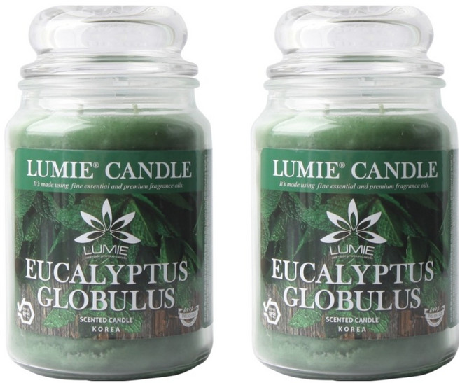 르미에 라지자 캔들, 유칼립투스, 570g, 2개