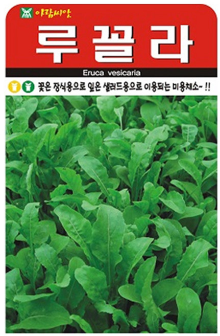 아람종묘 루꼴라 씨앗 2000립, 1개