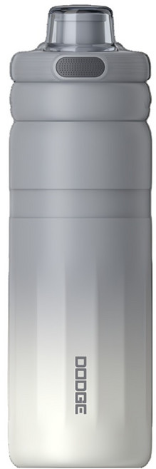 DODGE 道奇 316不鏽鋼雙飲保溫瓶, 560ml, 1個, 灰色