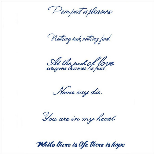 젤루나 반영구 레터링 야자수 하트 플라워 고양이 문신 헤나 타투 스티커, 1개, T-276