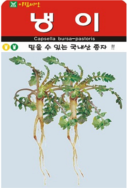 아람종묘 냉이 씨앗 2만립, 1개