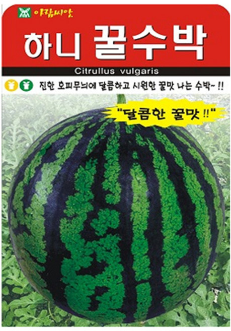 아람종묘 하니 꿀수박 씨앗 20p, 1개