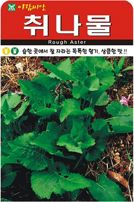 아람종묘 취나물 씨앗 1000p, 1개