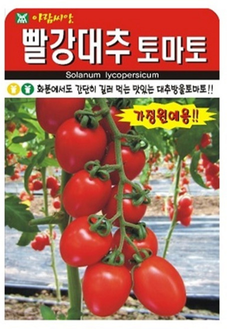 아람종묘 빨강대추 토마토 씨앗 30p, 1개