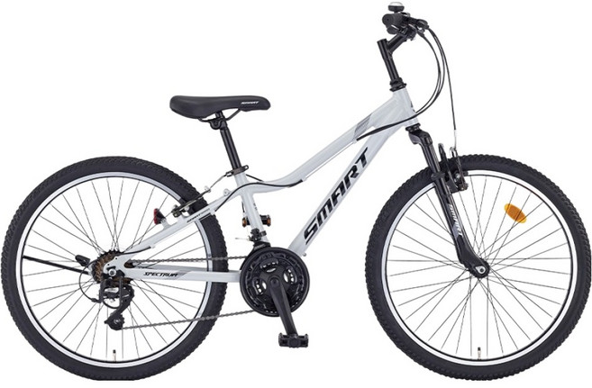 스마트 스펙트럼 24 21 MTB 자전거 방문설치, 라이트그레이, 1개, 160cm