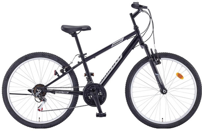 스마트 리얼텍 SF 24 21 MTB 자전거 방문설치, 매트블랙, 1개, 160cm