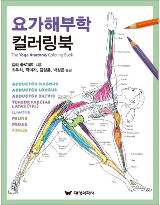 요가해부학 컬러링북, 대성의학사, 켈리 솔로웨이 - 쿠팡