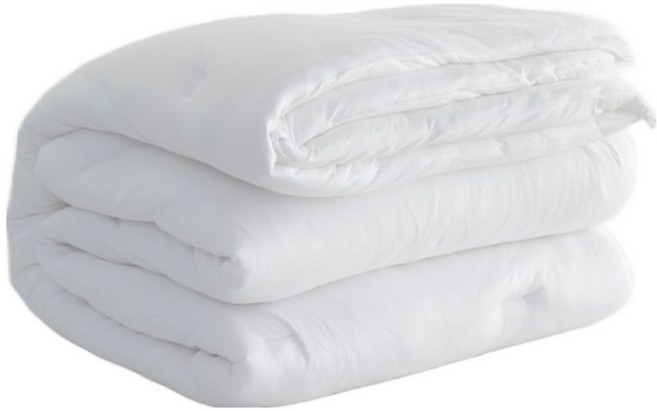 HOLA 和樂家居 REAL極親膚科技蠶絲防蟎冬被, 白色