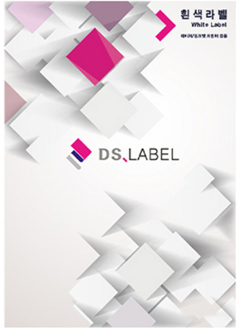 디에스라벨 레이저잉크젯 흰색 DS3021, 21칸, 100개