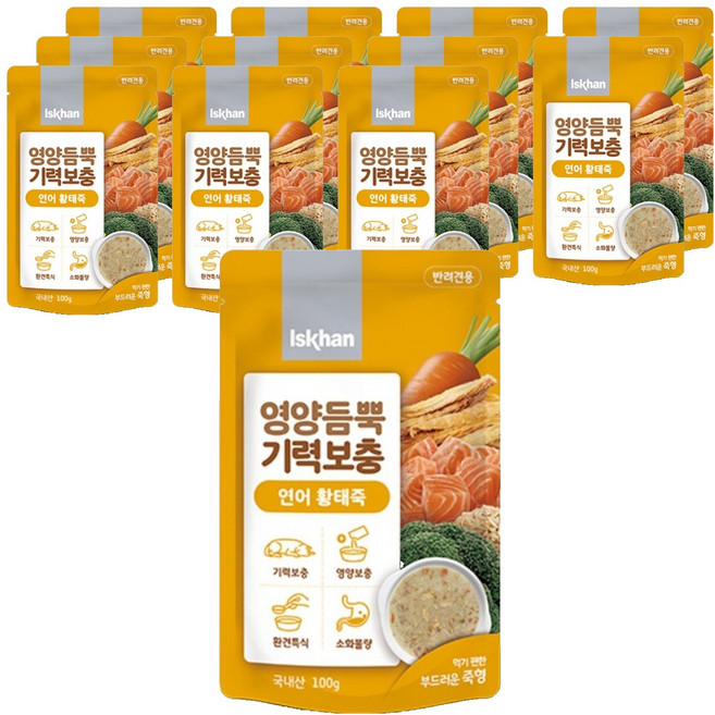이즈칸 강아지 영양듬뿍 기력보충 죽, 02_연어황태죽, 100g, 12개
