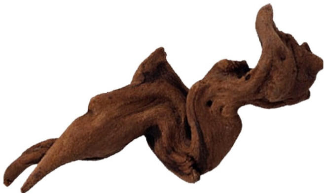 샘아쿠아 리프레쉬 레드 드리프트 유목, 1개