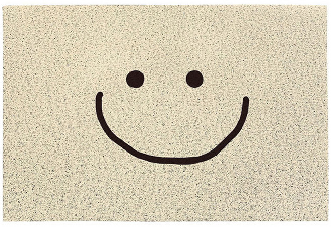 더자카 웰컴 PVC 미끄럼 방지 코일 매트 40 x 60 cm, C타입, 1개