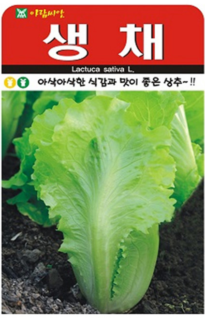 아람종묘 생채상추 씨앗 2000p, 본상품선택, 1개