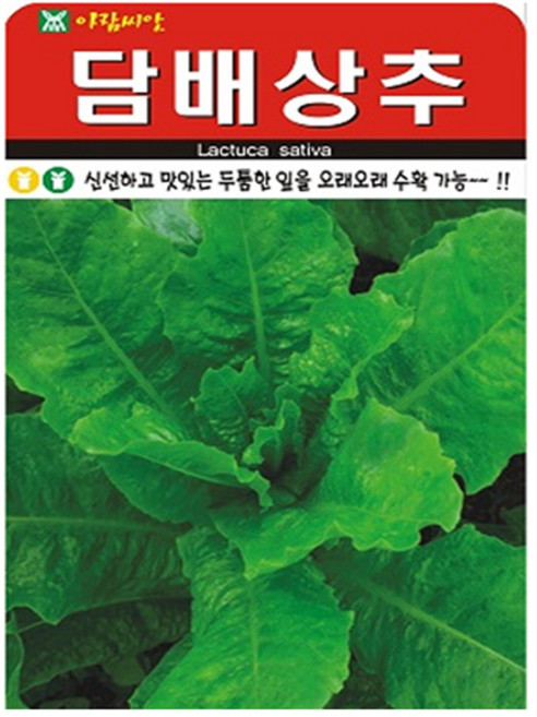 아람종묘 담배상추 씨앗 2000p, 1개