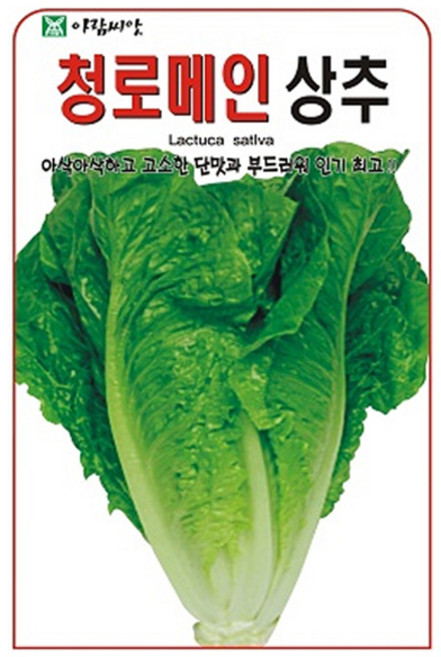 아람종묘 청로메인 상추 씨앗 1000p, 1개
