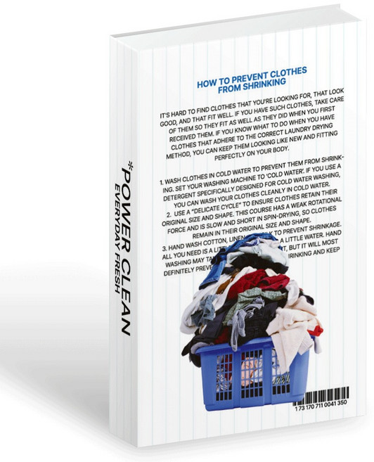 데미무드 시크릿 모형책 수납함 수납박스 리모컨 정리함 보관함 인테리어책, 파워클린, 1개