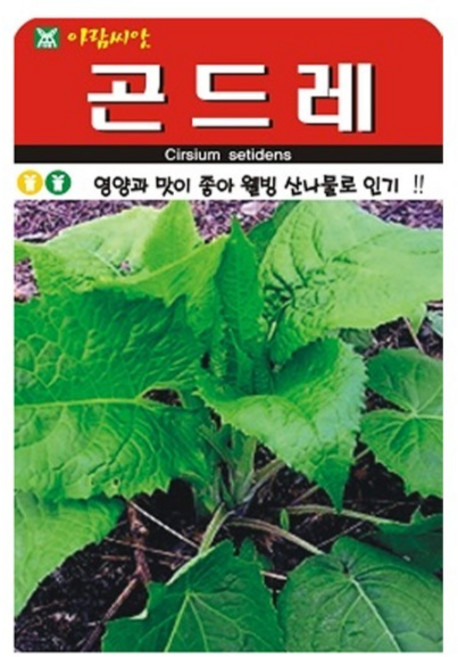 아람종묘 곤드레 씨앗 100립, 1개