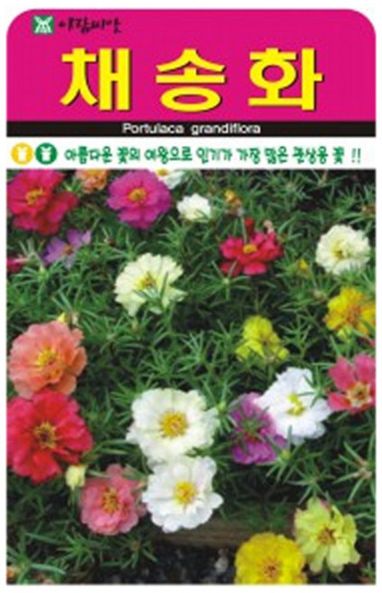 아람종묘 채송화 꽃 씨앗 5000p, 1개