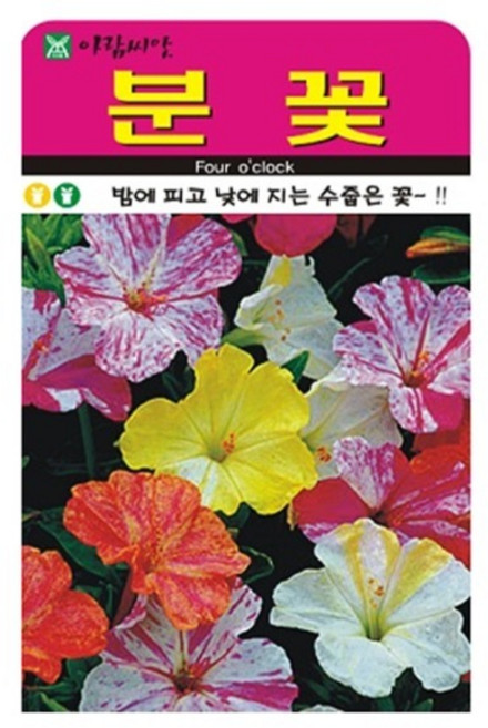 아람종묘 분꽃 씨앗 20립, 1개