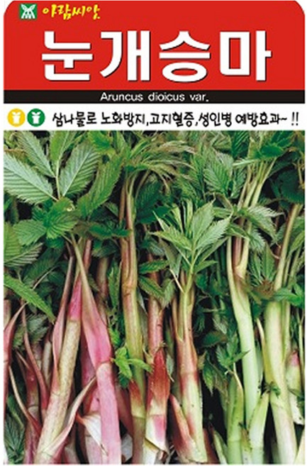 아람종묘 눈개승마 씨앗 500립, 1개