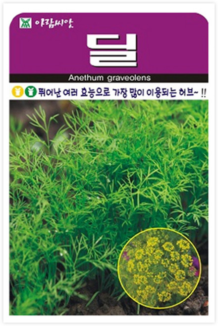 아람종묘 허브 딜 씨앗 300p, 1개