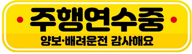 뭉키데코 고휘도 반사 칼라 탈부착 자석 RME 차량스티커 250 x 70mm, 87 주행 연습중, 1개