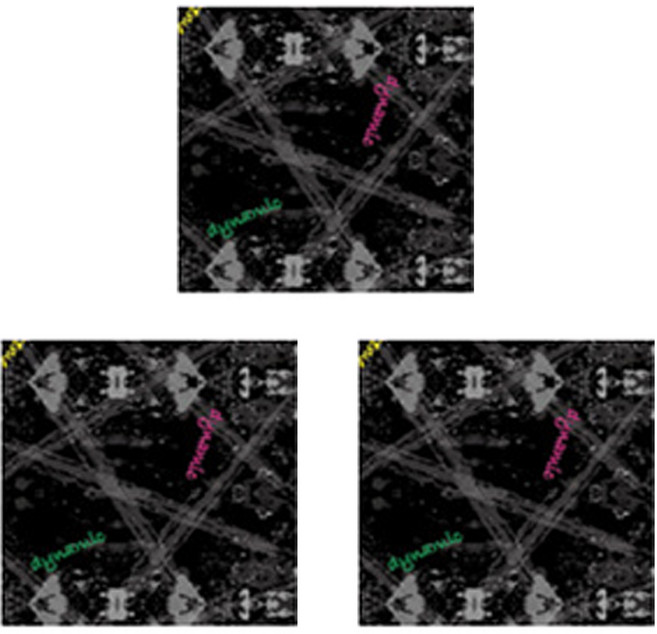 인콘트로 제너럴 멀티스카프, 11, 3개