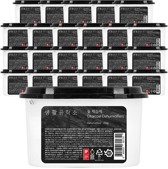 생활공작소 숯 제습제 본품, 250g, 24개