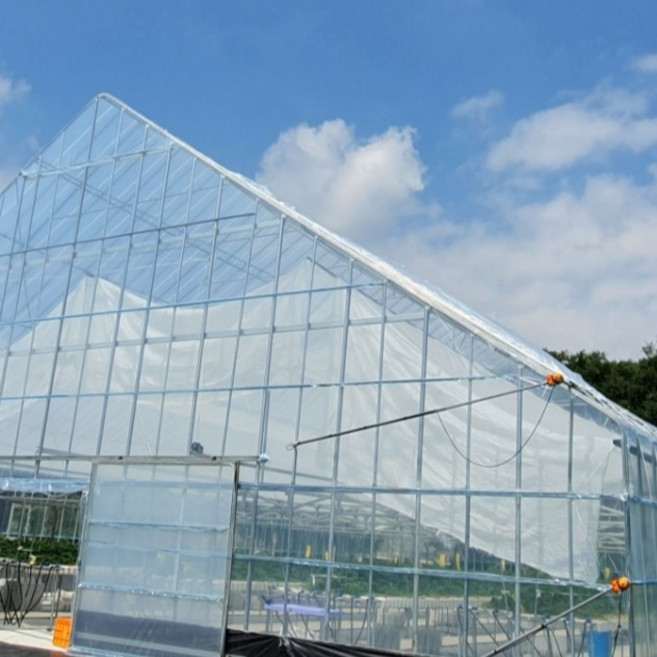 Naktapyo 長壽塑膠布 0.1mm x 4m x 12m, 1個