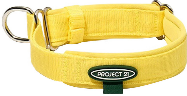 프로젝트21 강아지 마틴게일 목 보호 쿠션 목줄, 레몬, 1개
