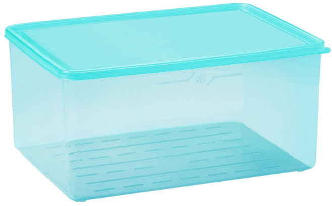 스틸웍스 탱글킷 냉동용기 3.8L 아이스블루, 1개, 1개입