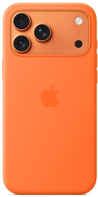 Apple 정품 아이폰 맥세이프 실리콘 케이스