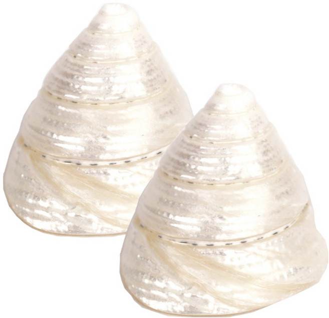 미미네아쿠아 밀크 뿔 소라, 2개