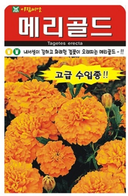 아람종묘 메리골드 꽃 씨앗, 1개