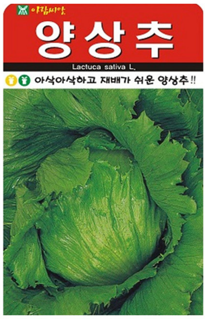 아람종묘 양상추 씨앗 1000p, 1개