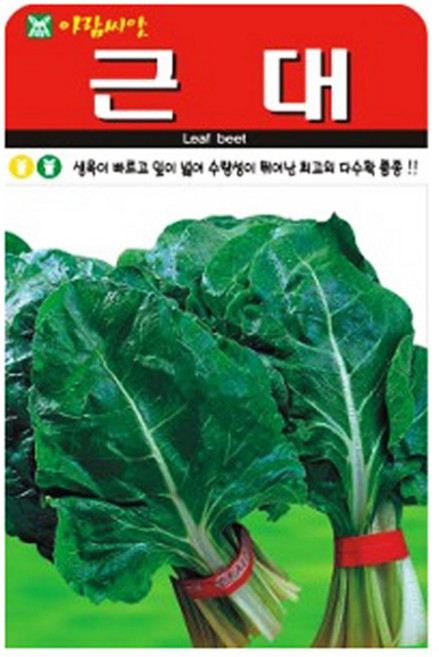 아람종묘 청근대 씨앗 500p, 1개