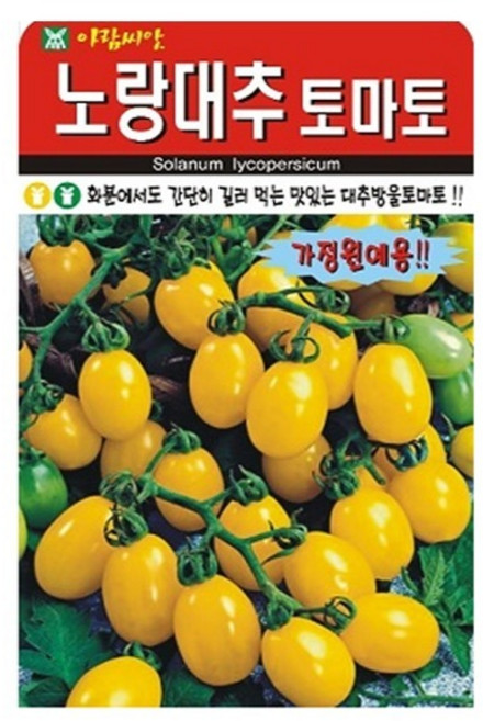 아람종묘 노랑대추토마토 씨앗, 1개