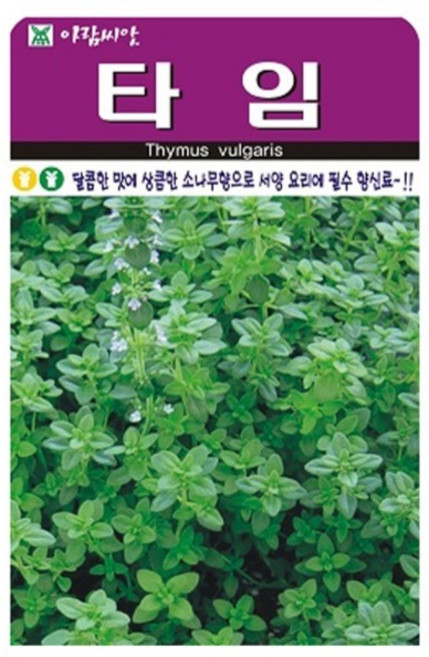 아람종묘 허브 타임 씨앗, 1개