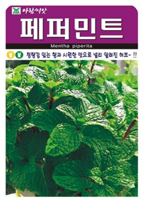 아람종묘 허브 페퍼민트 씨앗, 1개